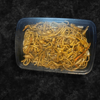 Best 鸡捞面Chicken Lo Mein in Philadelphia, PA